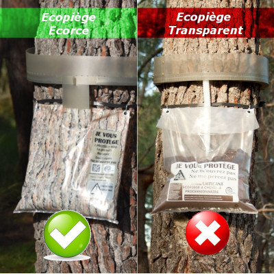 Descente Écorce (sac + tube + applicateur ) Compatible avec l'Écopiège® Écorce et non Transparent