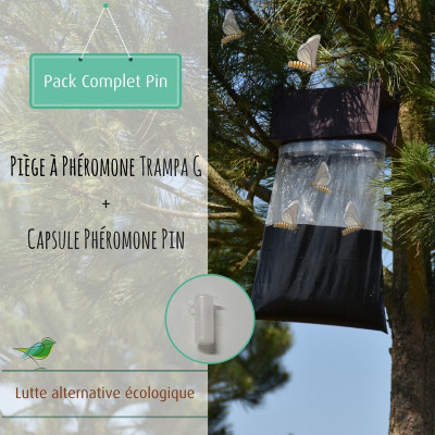 Pack phéromone du pin Trampa G + Pheromone , Lutte processionnaire du pin