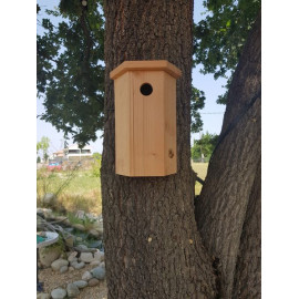 Mésange et petite maison d'oiseau. Toutes saisons tout en PVC, suspension  EZ, nettoyage EZ, entièrement assemblé, fond à charnière. Support de poteau  suspendu ou en bois -  France