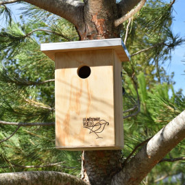 Nichoir mésange lutte processionnaire du chêne