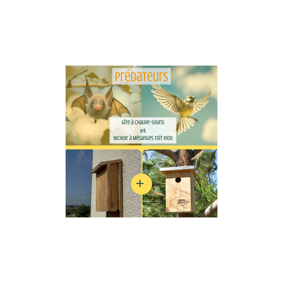 pack prédateurs chenille processionnaire du pin et du chene