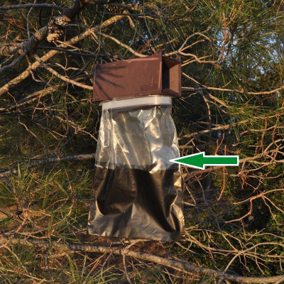 Sac pour piège à phéromone