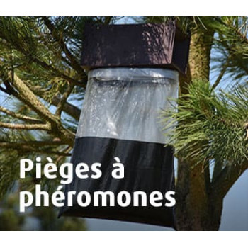 Pièges à phéromones 