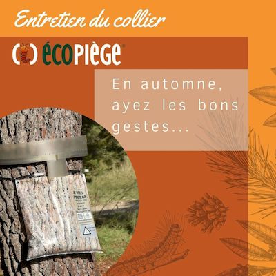 L'entretien annuel du collier Écopiège®